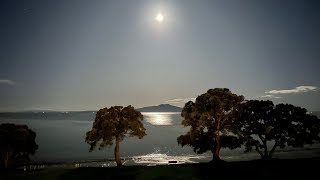 Mesmerised by the beauty of the moonlight| Why does the moonlight scene feel so romantic?