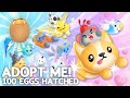 Hatching 100 New Cracked Eggs In Adopt Me To Get The New Legendary Pets! Roblox Adopt Me