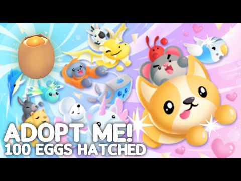 Video: Hva er et knust egg i adoptere meg?