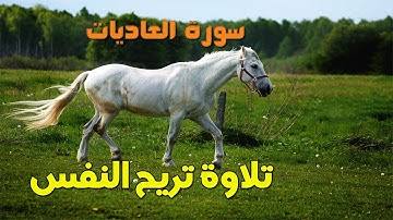 HDقرآن كريم بصوت هادئ سورة العاديات (AlAadiyaat) 2021