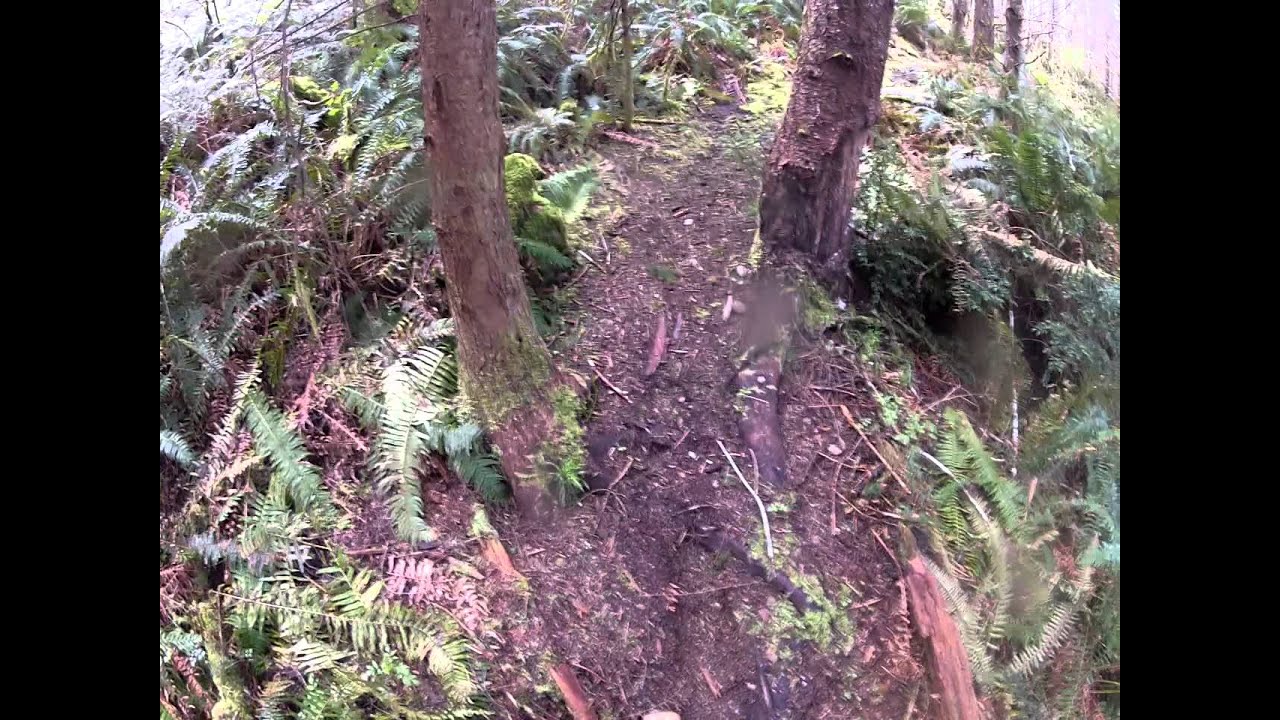 Two of Cloneville YouTube