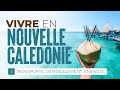 Vivre en nouvelle caldonie 3 demenagement venir avec son animal transports avoir une voiture