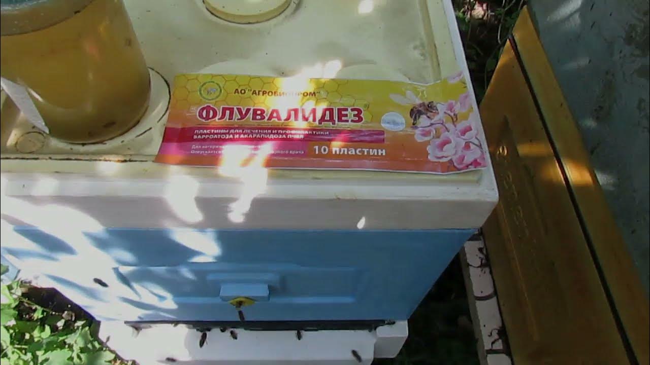 тестирую разные пластины для обработки пчел в августе , от клеща Варроа ...