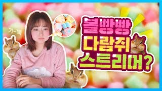 마쉬멜로 몇 개까지 넣을 수 있니?