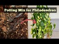 Ultimate Guide to Philodendron Soil Mix and Plant Care for Optimal Growth
