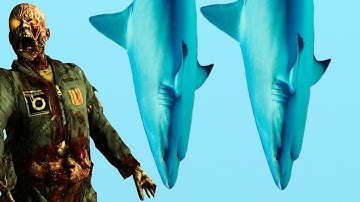 UNTERWEGS. WTF? "Call of Duty Zombies" Custom Map Ending