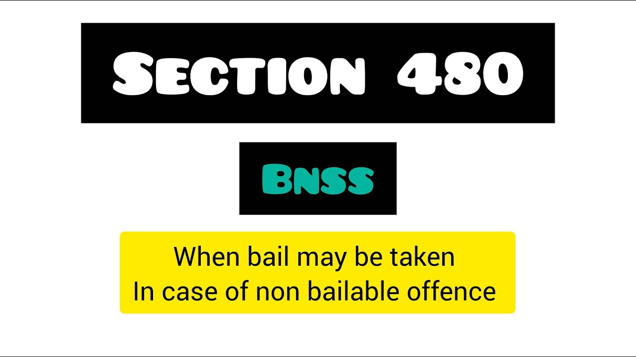 ABOUT SECTION 480 IN BNSS | FULL EXPLANATION IN TAMIL | THE BAIL ABOUT ...