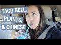 Taco Bell Freeze, Houseplant Shopping + Chinese Food | Weekly VLOG #2