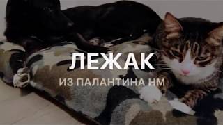Лежак для собаки своими руками. DIY Лежак для собаки своими руками. DIY