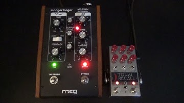 Moog Moogerfooger MF-104M vs. Chase Bliss Audio Tonal Recall RKM