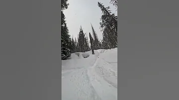 Cooke City January 2025 