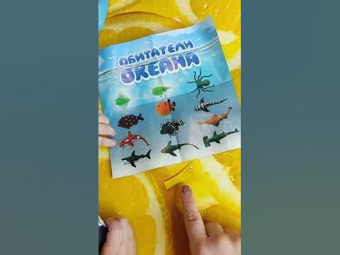 Только две игрушки из коллекции светятся в темноте 👀👀👂 - YouTube
