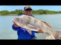 Impresionante Pesca De Tambor Negro en Estero | Black Drum Fishing