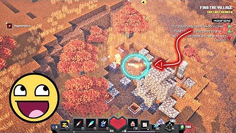 Weird glitch in (Minecraft dungeons)