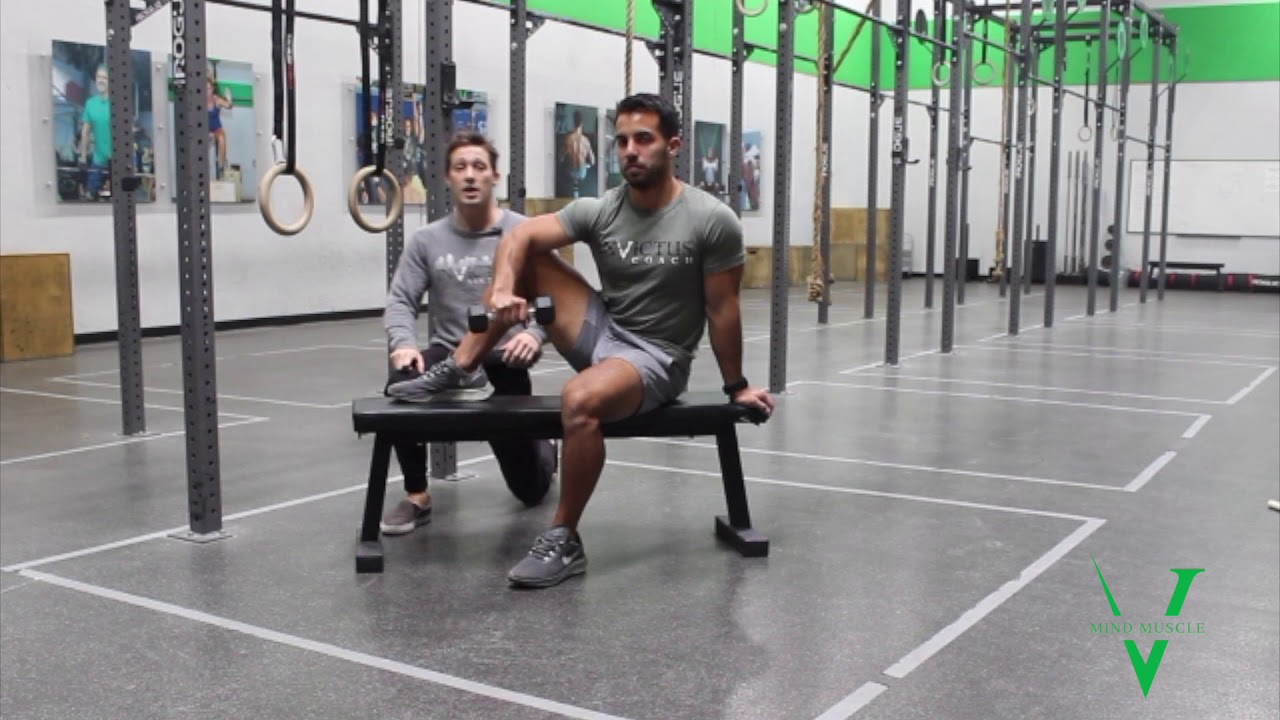 Seated Dumbbell External Rotations - YouTube