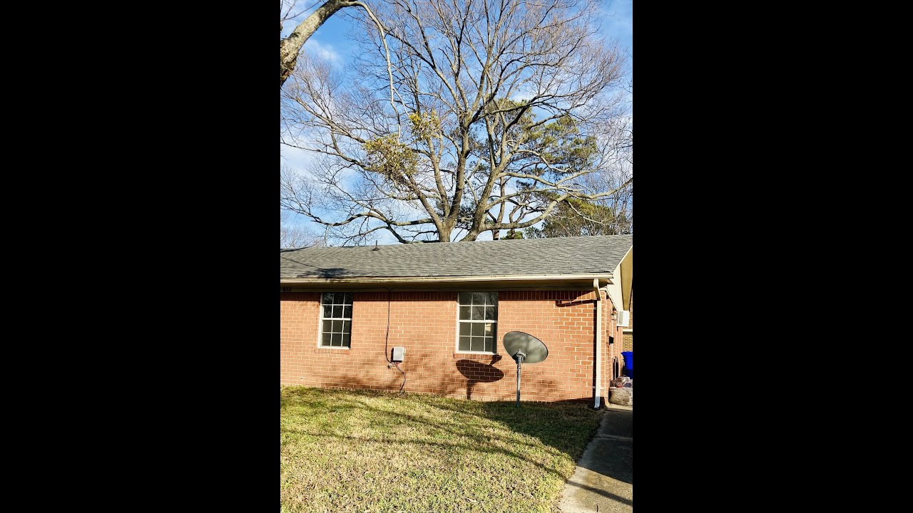 Norfolk Units for Rent 2BR/1BA by Norfolk Property Management YouTube