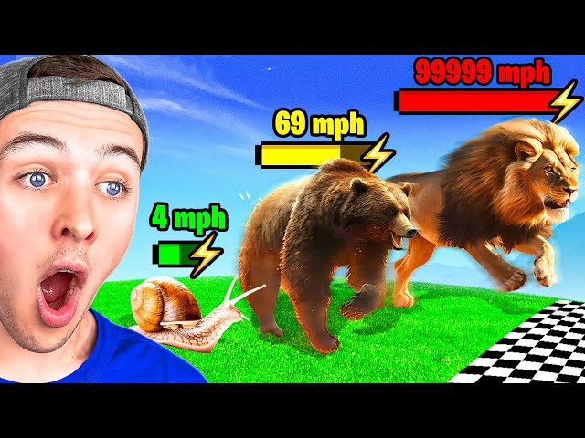 BECKBROS React To FASTEST ANIMALS SPEED COMPARISON! class=