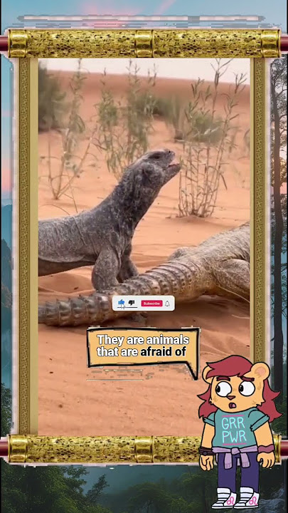 #kadrun #amazinganimals #animals