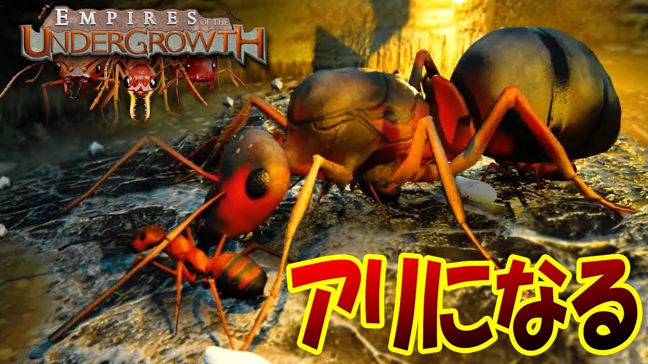 アリになって昆虫世界で弱肉強食の壮絶バトル 女王アリを守りながら地下世界を制服する Empires Of The Undergrowth 1 Youtube