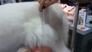 Poodle comb tips