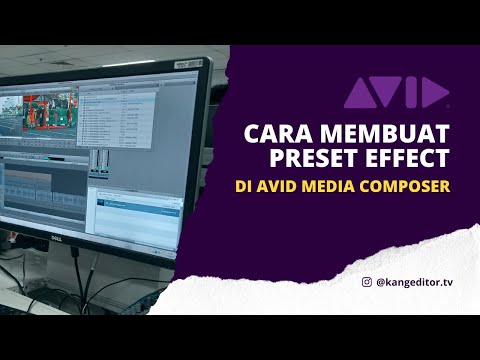 Video: Apakah pengguna avid?