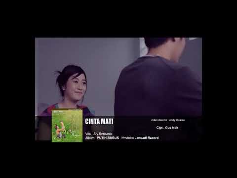 Dorman Manik - Cintaku Tak Mati (Official Music Video）