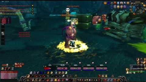 Paladins team multiboxing Krick and Ick (Heroic PoS)