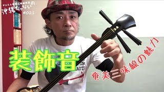 021装飾音】かんたん奄美三味線教室『沖縄ぢゃないの』 - YouTube