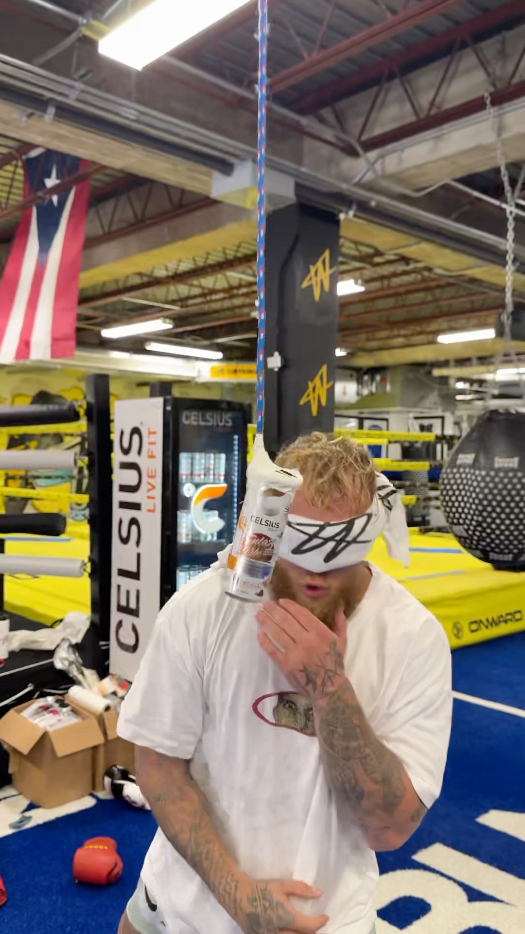 Celsius boxing drill #celsiusbrandpartner #celsiuslivefit