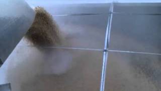 Loading Soybeans