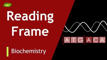 Decoding the code-1 | ORF| Codons | Overlapping Codons | Protein synthesis | BIOCHEM | Part-2