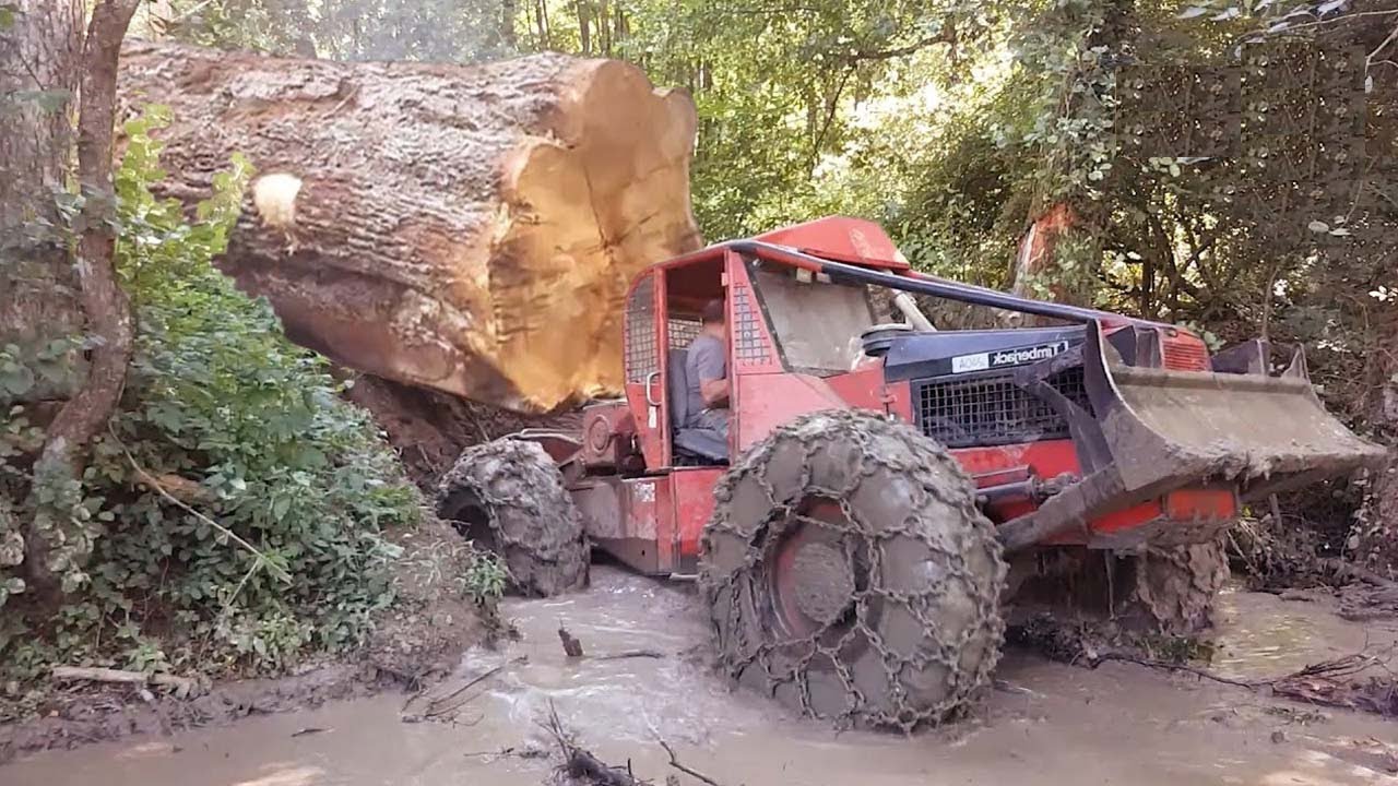 ⁣Amazing Dangerous Idiots Logging Wood Trucks Operator. Oversize Load Heavy Equipment Tractor Working