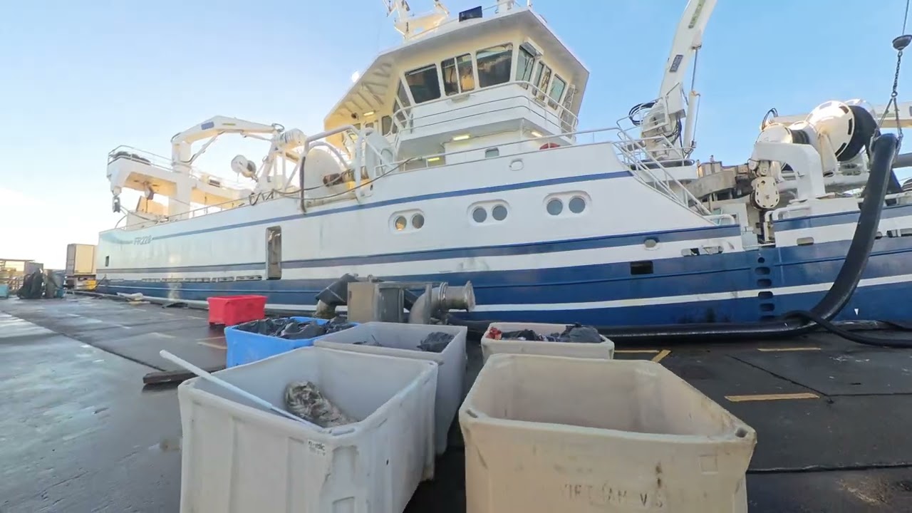 November 22nd 2025 Buchanhaven to Peterhead fish market