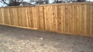 oak tree fence & deck