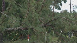 Trees down, power lines and tents as Augusta deals with tropical storm Michael