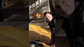 🧪✨ Laborexperimente auf dem Hof? #laendeier #regional #qzbw