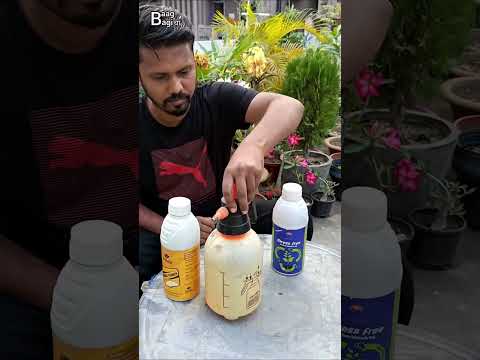Stress-Free Strength for Your Plants