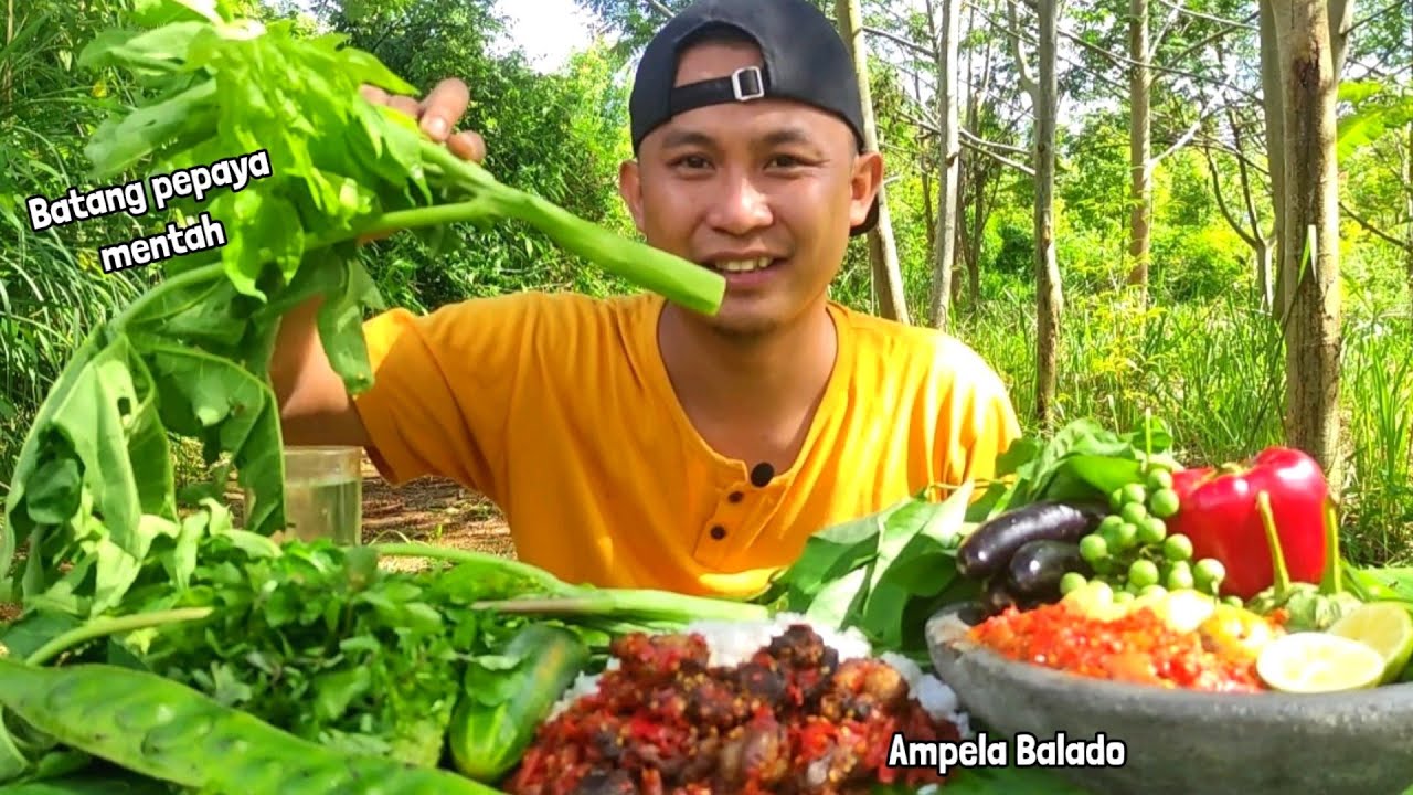LALAPAN MENTAH ATI AMPELA BALADO BATANG PEPAYA TERONG TIMUN PETAI 