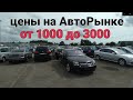 Цены от 1000 до 3000 авторынок Мариямполе 2021.