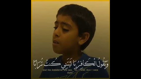 القارئ أنس الشهاب