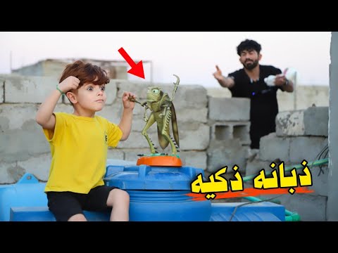 خباثه كنان جاب ذبانه ذكيه هجن كل الطيور ههههه