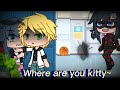 💢🖤Where are you "kitty"💢meme(original? idk)||MLB||Gacha life||AU||⚠️TW:FLASHING LIGHTS!⚠️