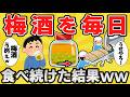 【注意】ワイちゃん、自作梅酒で乾杯のはずが完敗ww【有益スレ】【ゆっくり解説】