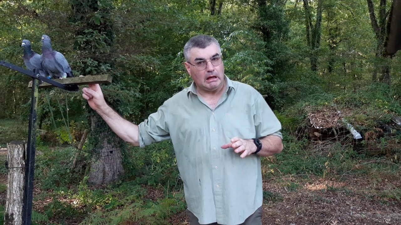 Guide fil - GUIDFIL - matériel palombière : mécaniques appelants pour la  chasse à la palombe - matériel de chasse à la palombe