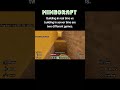 Minecraft: Building IRT VS building IST