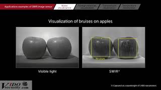 SWIR Image Technology