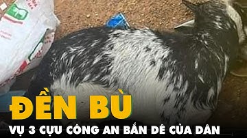 Vụ 3 cựu công an bắn dê của dân: Chủ đàn dê nhận đền bù 20 triệu đồng