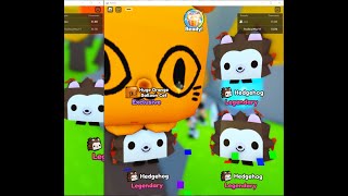 I HATCHED HUGE ORANGE BALLOON CAT IN 5 MINUTES OMG!!!!!! (THUMBNAIL IS REAL SCREENSHOT OF MY HATCH)