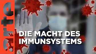 Unser Immunsystem - Wächter der Gesundheit | Doku HD Reupload | ARTE