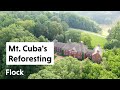 REFORESTATION BEST PRACTICES and TECHNIQUES from Mt. Cuba Center — Ep. 089